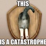 Cat ass trophy | THIS; IS A CATASTROPHE | image tagged in cat ass trophy | made w/ Imgflip meme maker
