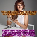 FACTS THAT YOU MAY NOT KNOW | WELL HELLO MY NAME IS MELANIE I'M MARRIED TO DONALD TRUMP; FUNNY THAT HE DOESN'T EVEN LIKE ME BECAUSE I'M MEXICAN BUT AT LEAST HE'S  FILTHY RICH | image tagged in melanie famous quotes,uparrowmemes,funny memes | made w/ Imgflip meme maker
