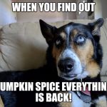 Puppy eye roll | WHEN YOU FIND OUT; PUMPKIN SPICE EVERYTHING IS BACK! | image tagged in puppy eye roll | made w/ Imgflip meme maker