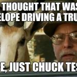 nope chuck testa | YOU THOUGHT THAT WAS AN ANTELOPE DRIVING A TRUCK? NOPE, JUST CHUCK TESTA | image tagged in nope chuck testa | made w/ Imgflip meme maker