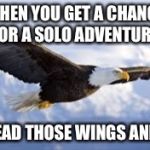 Soaring eagle | WHEN YOU GET A CHANCE FOR A SOLO ADVENTURE; SPREAD THOSE WINGS AND FLY | image tagged in soaring eagle | made w/ Imgflip meme maker
