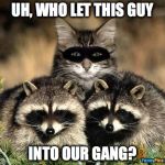 New Gang Member | UH, WHO LET THIS GUY; INTO OUR GANG? | image tagged in just might fit in | made w/ Imgflip meme maker