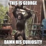 Monkey With AK-47 | THIS IS GEORGE; DAMN HIS CURIOSITY | image tagged in monkey with ak-47 | made w/ Imgflip meme maker