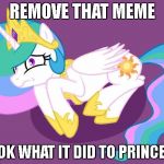 SEND HELP | REMOVE THAT MEME; LOOK WHAT IT DID TO PRINCESS | image tagged in send help,memes,remove that | made w/ Imgflip meme maker