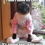 cats pajamas | I don't think its cute. It's stupid and I hate you! | image tagged in cats pajamas | made w/ Imgflip meme maker