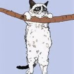 Hang in there grumpy cat | HANG IN THERE | image tagged in hang in there grumpy cat | made w/ Imgflip meme maker