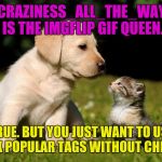SCRATCH THAT ONE OFF THE BUCKET LIST! :D ALSO IT'S THE LAST DAY OF PUPPY WEEK A LORDCAKETHIEF EVENT | CRAZINESS_ALL_THE_WAY IS THE IMGFLIP GIF QUEEN. TRUE. BUT YOU JUST WANT TO USE ALL SIX POPULAR TAGS WITHOUT CHEATING. | image tagged in funny,memes,animals,cats,dogs,gifs | made w/ Imgflip meme maker