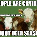 Baby Cows | PEOPLE ARE CRYING; AS THEY CHEW ON THEIR BURGER; ABOUT DEER SEASON | image tagged in baby cows | made w/ Imgflip meme maker
