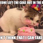 cat cake | SOMEONE LEFT THE CAKE OUT IN THE RAIN; I DON'T THINK THAT I CAN TAKE IT ... | image tagged in cat cake,cats are awesome,mc aurthurs park,cake | made w/ Imgflip meme maker