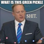 Shit | WHAT IS THIS GREEN PICKLE | image tagged in shit | made w/ Imgflip meme maker
