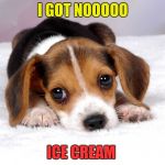 Even puppies get sad when there's no icecrem ! | I GOT NOOOOO; ICE CREAM | image tagged in sad puppy,icecream,funny,memes,wtf | made w/ Imgflip meme maker