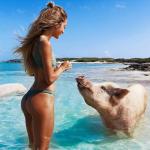 Girl and pig in the water on the beach