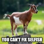 Scapegoat | YOU CAN'T FIX SELFISH | image tagged in scapegoat | made w/ Imgflip meme maker