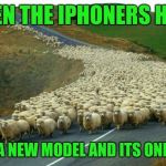 sheep | WHEN THE IPHONERS HEAR; THERES A NEW MODEL AND ITS ONLY $1000 | image tagged in sheep | made w/ Imgflip meme maker