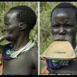 lip plate