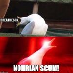 Large Inhaling Seagull | BREATHES IN; NOHRIAN SCUM! | image tagged in large inhaling seagull | made w/ Imgflip meme maker