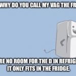 Fridge 2016 | WIFE: WHY DO YOU CALL MY VAG THE FRIDGE? ME: THERE NO ROOM FOR THE D IN REFRIGERATOR, IT ONLY FITS IN THE FRIDGE. | image tagged in fridge 2016 | made w/ Imgflip meme maker