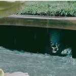pennywise in sewer