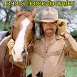 Never doubt The Power of Chuck!  | Chuck Norris can lead a horse to water; and make it drink. | image tagged in chuck norris,chuck norris fact,memes | made w/ Imgflip meme maker