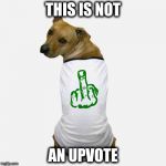 dog tshirt | THIS IS NOT; AN UPVOTE | image tagged in dog tshirt | made w/ Imgflip meme maker