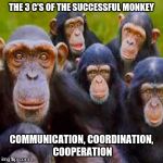 nodeadmonkeys | THE 3 C'S OF THE SUCCESSFUL MONKEY; COMMUNICATION, COORDINATION, COOPERATION | image tagged in nodeadmonkeys | made w/ Imgflip meme maker