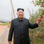 kim jong-un pomegranate