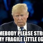 Sad Donald Trump | SOMEBODY PLEASE STROKE MY FRAGILE LITTLE EGO | image tagged in sad donald trump | made w/ Imgflip meme maker