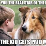 lassie and timmy | WHEN YOU THE REAL STAR OF THE MOVIE; BUT THE KID GETS PAID MORE | image tagged in lassie and timmy | made w/ Imgflip meme maker