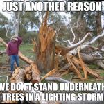 tree lighting | JUST ANOTHER REASON; WE DON'T STAND UNDERNEATH TREES IN A LIGHTING STORM | image tagged in tree lighting | made w/ Imgflip meme maker