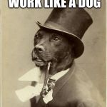 Old Money Dog | YOU HAVE TO WORK LIKE A DOG; TO BE LIKE ME | image tagged in old money dog | made w/ Imgflip meme maker