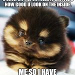 pomeranian | MOM:IT DOESN'T MATTER HOW GOOD U LOOK ON THE OUTSIDE IT MATTERS HOW GOOD U LOOK ON THE INSIDE. ME:SO I HAVE TO EAT GLITTER | image tagged in pomeranian | made w/ Imgflip meme maker