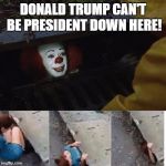 Penny wise in sewer | DONALD TRUMP CAN'T BE PRESIDENT DOWN HERE! | image tagged in penny wise in sewer | made w/ Imgflip meme maker