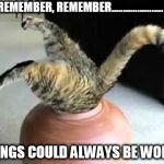 stuck cat | REMEMBER, REMEMBER...................... THINGS COULD ALWAYS BE WORSE | image tagged in stuck cat | made w/ Imgflip meme maker