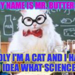 Science Cat (wider version) | HELLO MY NAME IS MR. BUTTERSCOTCH SADLY I'M A CAT AND I HAVE NO IDEA WHAT SCIENCE IS. | image tagged in science cat wider version | made w/ Imgflip meme maker