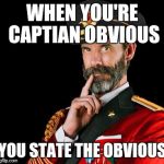 It's what I do | WHEN YOU'RE CAPTIAN OBVIOUS; YOU STATE THE OBVIOUS | image tagged in captain obvious | made w/ Imgflip meme maker