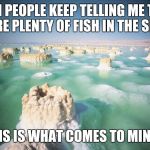 Dead Sea | WHEN PEOPLE KEEP TELLING ME THERE ARE PLENTY OF FISH IN THE SEA. THIS IS WHAT COMES TO MIND... | image tagged in dead sea | made w/ Imgflip meme maker