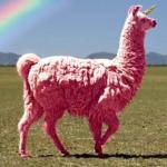 gay lama