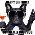 Cool Dog Birthday | HAPPY BIRTHDAY; TO A REALLY COOL DOG | image tagged in cool dog birthday | made w/ Imgflip meme maker