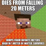 Minecraft Guy | DIES FROM FALLING 20 METERS; JUMPS FROM INFINITE METERS HIGH IN 1 METER OF WATER, SURVIVES | image tagged in minecraft guy,scumbag | made w/ Imgflip meme maker