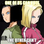 Android 17 and Android 18 | ONE OF US CAN VOTE; THE OTHER CAN'T | image tagged in android 17 and android 18 | made w/ Imgflip meme maker