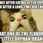 Aaaaaaaaaaa | ONLY AFTER EATING OTTER POPS NOW AFTER A LONG TIME DID I KNOW; THAT ONE OF THE FLAVORS IS "LITTLE ORPHAN ORANGE" | image tagged in wtf cat,memes,otter pops,orphan,orange | made w/ Imgflip meme maker