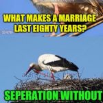 Patience, understanding, compromise?, meh, sounds like work. | WHAT MAKES A MARRIAGE LAST EIGHTY YEARS? SEPERATION WITHOUT FILING FOR DIVORCE | image tagged in bad pun stork,sewmyeyesshut,memes,funny | made w/ Imgflip meme maker