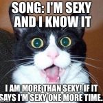 If it says...... | SONG: I'M SEXY AND I KNOW IT; I AM MORE THAN SEXY! IF IT SAYS I'M SEXY ONE MORE TIME... | image tagged in surprised cat lol,sexy,one more time,song lyrics,song | made w/ Imgflip meme maker