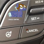 Cruise Controll | CRUISE CONTROL... | image tagged in cruise controll,scumbag | made w/ Imgflip meme maker