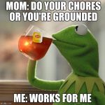 hermate | MOM: DO YOUR CHORES OR YOU'RE GROUNDED ME: WORKS FOR ME | image tagged in memes,but thats none of my business,kermit the frog | made w/ Imgflip meme maker