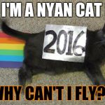 Nyan cat | YAY I'M A NYAN CAT BUT; WHY CAN'T I FLY?!! | image tagged in nyan cat | made w/ Imgflip meme maker