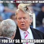 Trump Hair Surfer | DON'T TELL ME.... THERE'S A BUG IN MY HAIR? IF YOU SAY SO, MR. PRESIDENT. | image tagged in trump hair surfer | made w/ Imgflip meme maker