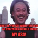 Kung Pow Betty  | WHAT DO YOU GET WHEN YOU CROSS AN OWL WITH A BUNGEE CORD? MY ASS! | image tagged in kung pow betty | made w/ Imgflip meme maker