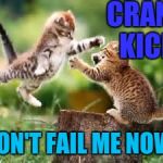 THE CAT-RA-TEE KID :D | CRANE KICK; DON'T FAIL ME NOW! | image tagged in free hugs,funny,memes,cats,animals,humor | made w/ Imgflip meme maker