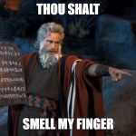 Cartoon meme fail when insulting intelligence | THOU SHALT; SMELL MY FINGER | image tagged in cartoon meme fail when insulting intelligence | made w/ Imgflip meme maker